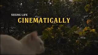 Seeing Life Cinematically | 4k Shot on Iphone 15 Pro ( ProRes Log ) 