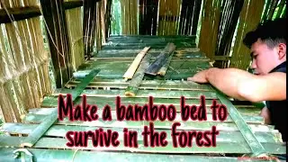 Survival Instinct - foraging in the deep forest #10
