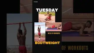 Tuesday &bull; Bodyweight Only Biceps & Triceps Workout &bull; Week of Workouts