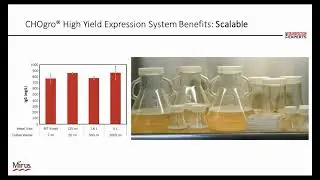 CHOgro&reg; High Yield Expression System: Achieve Higher Titers Faster in Suspension CHO Cells