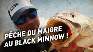 fiiish - P&ecirc;che du maigre au Black Minnow - Meager Fishing