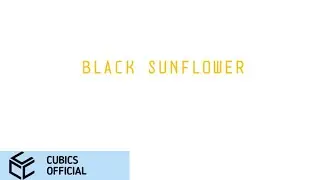 STACEY BLACK SUNFLOWER M/V INTRO;TEASER