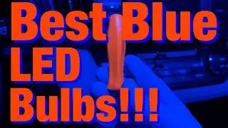 Philips Ultinon Blue LED Bulbs RAV4 2015 2013 2014 2016 2017 2018