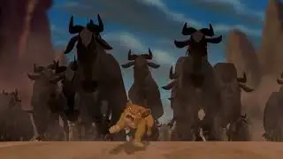 Lion King : Stampede | 4K 2160p |
