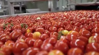 The Morning Star Packing Company - Vertically Integration, Quality, and Innovation