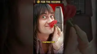 Мик Флитвуд был ЧЕЛОВЕКОМ-метрономом...