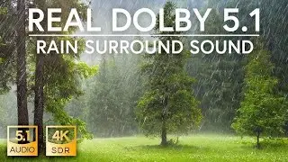 4k Dolby Vision HDR Real Rain Surround Sound