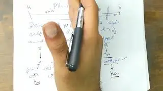 مسائل هامه لحساب PH و POH  للصف الثالث الثانوى