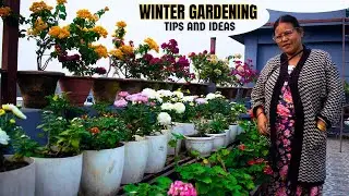 How to Care for Winter Flower Plants | Winter Flowering Plants Care and Tips in Nepali
