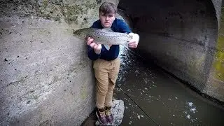 Fishing A Small Lake Ontario Tributary For Brown Trout!