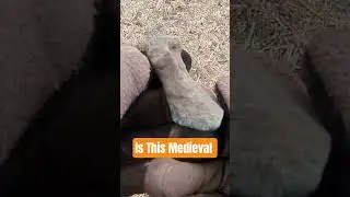 Is This Medieval ? #youtubeshorts #subscribe #metaldetecting