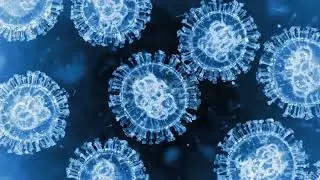 common cold