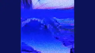 Pafog