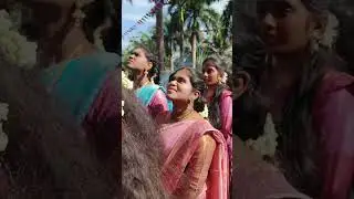 #pongal sri Venkateshwara college Coimbatore...