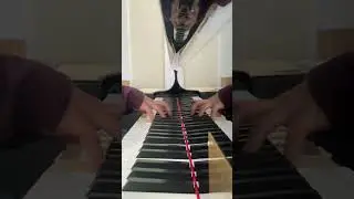 🎹 Taylor Secret O&rsquo; Life &ndash; Gentle Reflections