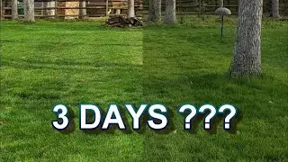 Scotts Green Max // 27- 0 - 2 fertilizer // Greens up a Lawn in 3 Days // Is that a Guarantee ???