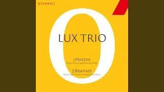 J.Brahms : Piano Trio C Minor Op.101 No.3 4. Allegro Molto