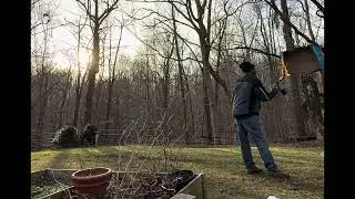 PAPERWASP NEST REMOVAL - Jose Puente/African Style