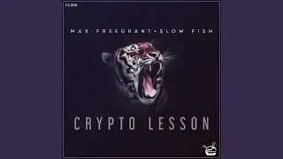 Crypto Lesson (Original Mix)