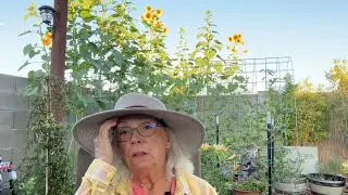Is My Garden Too Big for Me to Handle? Or is It Just 100 Degrees Outside?!!
