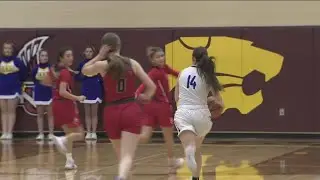 1A state quarterfinals: Raft River runs by Liberty Charter 70-38