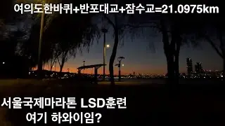 여의도+반포+잠수교=21.0975km 오늘도 달렸다.