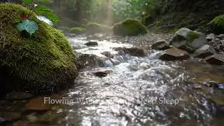 8 Hours of Gentle Stream Water for Mindful Study