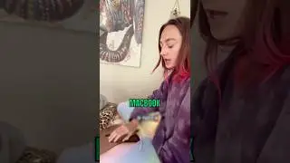 Опыт Apple&hellip;