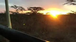Nairobi Nationalpark 2019 prod.by Terry Reeves