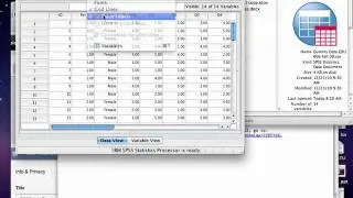 Лабораторная работа SPSS 1. Добавление меток и меток значений.mov