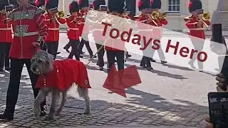Changing of the Guard