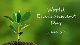 Environment Day WhatsApp Status ll World 🌎 Environment Day WhatsApp status Video