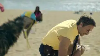 Liberty Mutual - Volleyball