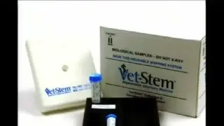 The Latest With Bob Harman, D.V.M. & Julie Johnson, D.V.M. - VetStem