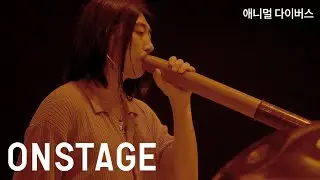 [ONSTAGE] 애니멀 다이버스_Horizon noir