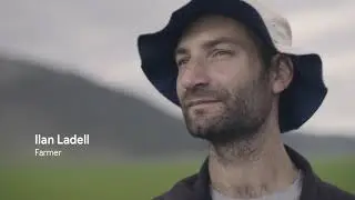 How Taranis helps farmers feed the planet with TensorFlow