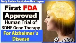 First FDA Approved Human Trial Of BDNF Gene Therapy For Alzheimer's Disease | By Modern Healthspan