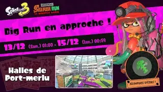 [Splatoon 3] J'ai faim et je suis crevé, autant taper des saumons! (Big Run)
