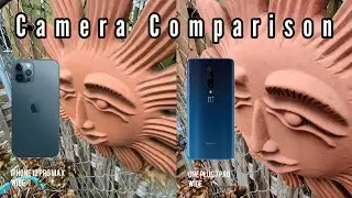 iPhone 12 Pro Max vs One Plus 7 Pro Camera Comparison