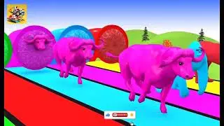 Funny 3D Animals Slide Game &ndash; Lustiges Tier-Rutschspiel in 3D