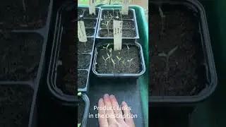How I use heat mats to start seeds in my unheated greenhouse every spring