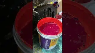 RED ALERT...Tractors Emulsion.  #colour #asmr #mixing #asianpaints