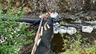 Travaux de restauration de la continuité écologique sur le Seuil du Chalusset.  Rivière Chavanon.