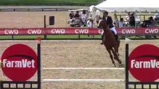 Video of COUPE DE CHANCE ridden by Ann Dotoli from ShowNet!