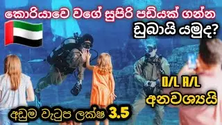 Dubai job vecancy 2023 in sri lanka. ලක්ශ 3.50 වැඩි ඩුබායි වල රැකියාවක්