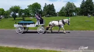 A final farewell for a loved one &ndash; Horse Drawn Carriage &ndash; Caisson Hearse 7