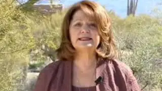 Butterfly Wisdom