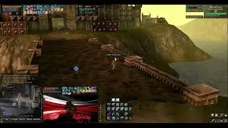 L2 Dragon Network PvP Vs PetsAndBots  Enjoy With Us ^ AlinnaPower^