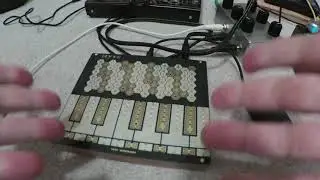 Hyve super expressive touch synth / Electronic Accordion??