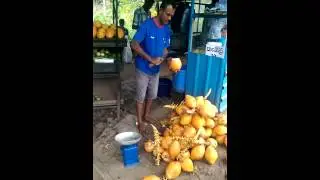 Man cutting a Thambili